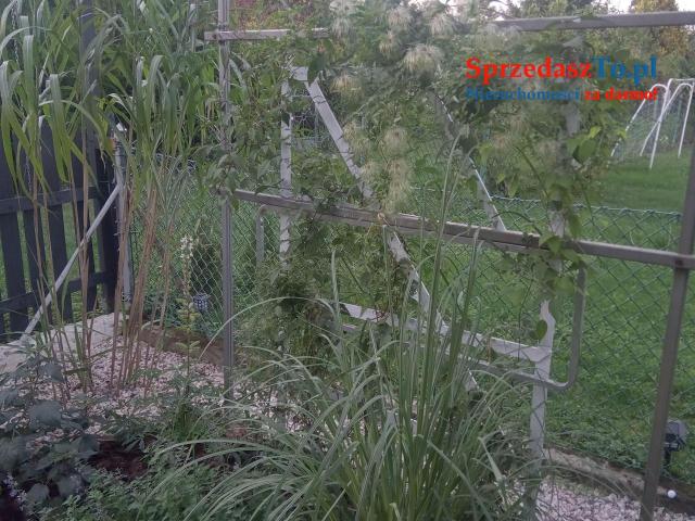 Sprzedam działkę ROD Kutno Złota Róża - 6