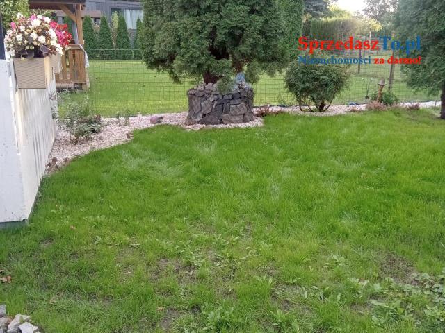 Sprzedam działkę ROD Kutno Złota Róża - 7
