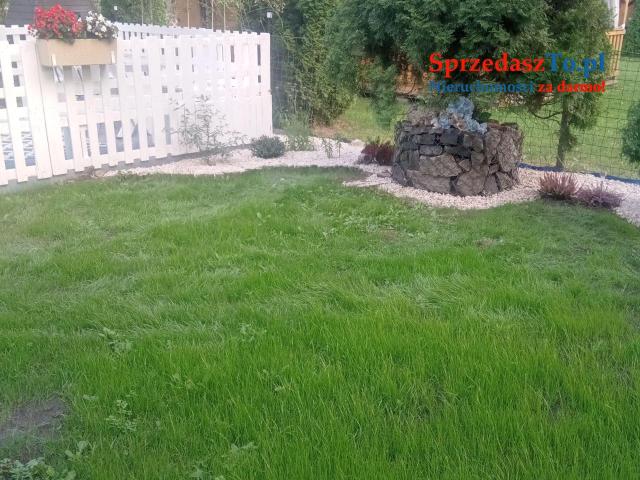Sprzedam działkę ROD Kutno Złota Róża - 8