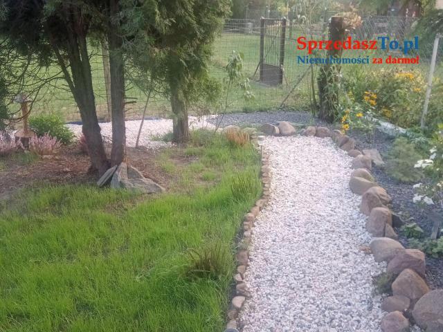 Sprzedam działkę ROD Kutno Złota Róża - 10