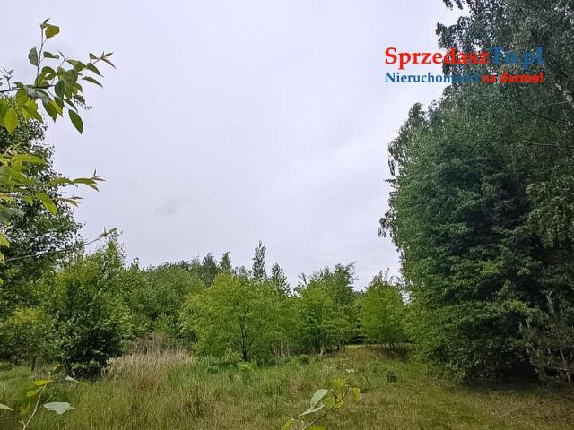 Sprzedam działkę w Zalesiu