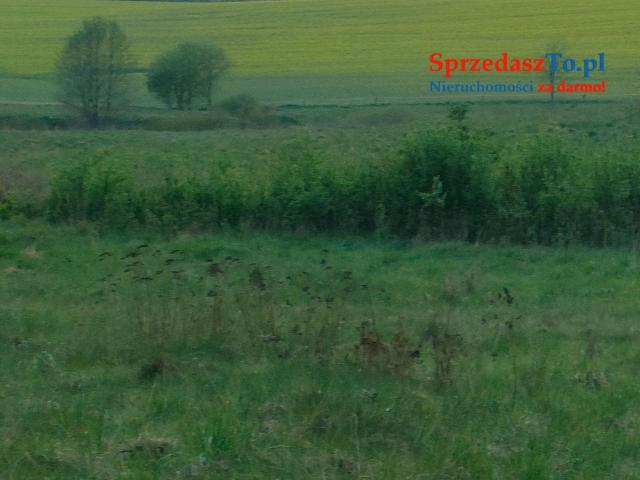 duza działka rolna z siedliskiem mozliwe warunki zabudowy 10 ha