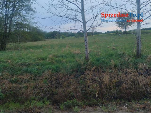duza działka rolna z siedliskiem mozliwe warunki zabudowy 10 ha - 6