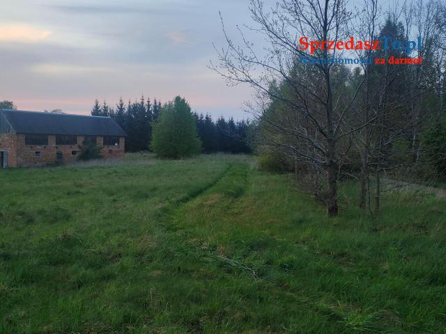 duza działka rolna z siedliskiem mozliwe warunki zabudowy 10 ha - 9