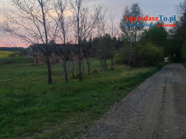 duza działka rolna z siedliskiem mozliwe warunki zabudowy 10 ha - 11