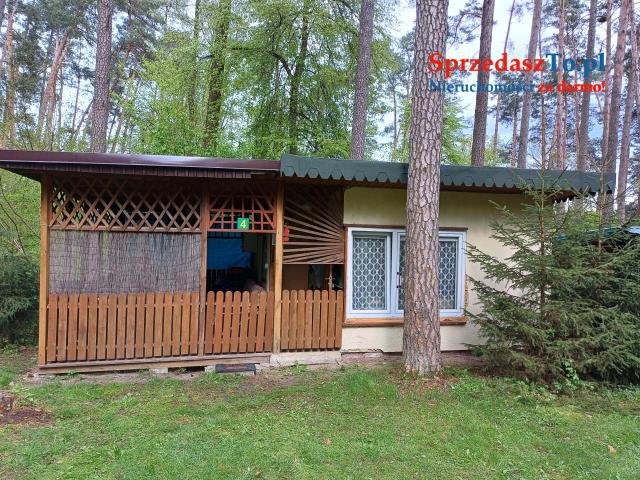 Domek w lesie nad Bugiem