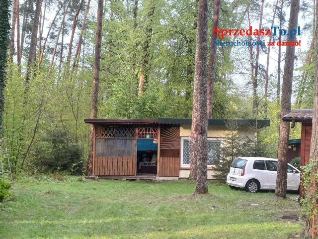 Domek w lesie nad Bugiem - 6