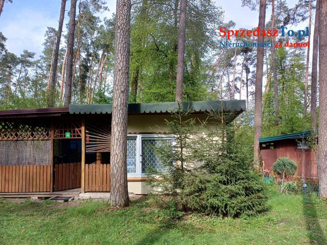 Domek w lesie nad Bugiem - 7