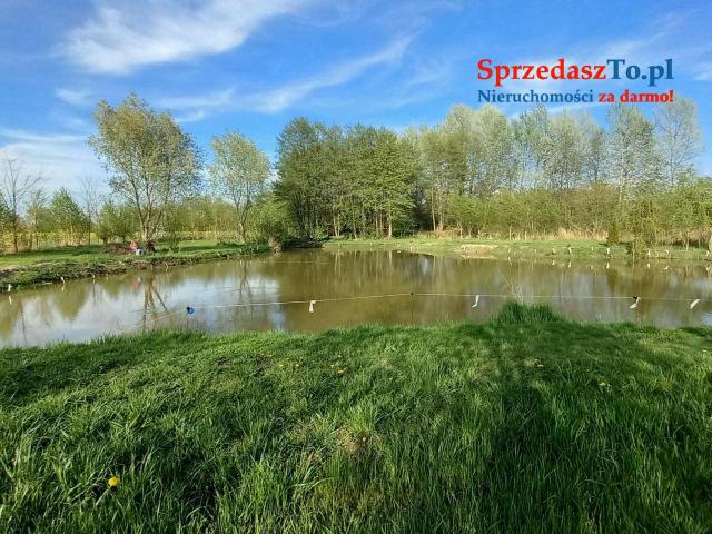 Działka ze stawem - 6