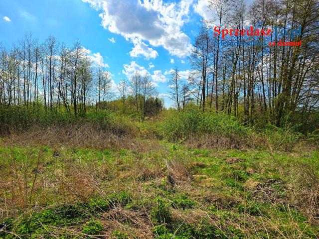 Działka z dostępem do rzeki, zabudowa całoroczna lub letniskowa - 9