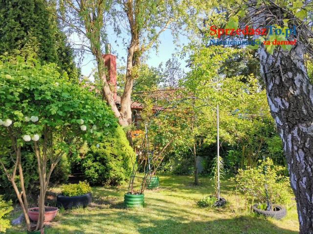 Działka ROD nad Zalewem Zyrardowskim - 6