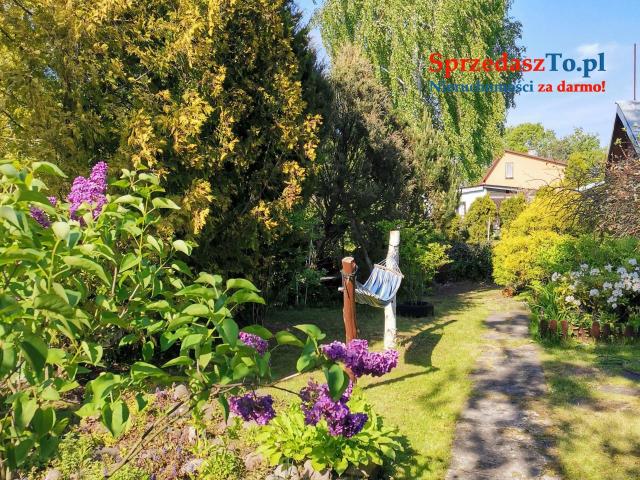 Działka ROD nad Zalewem Zyrardowskim - 7