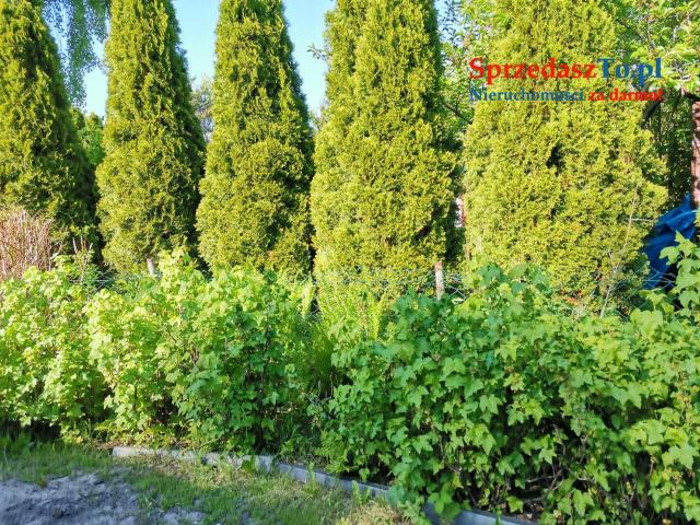 Działka ROD nad Zalewem Zyrardowskim - 8