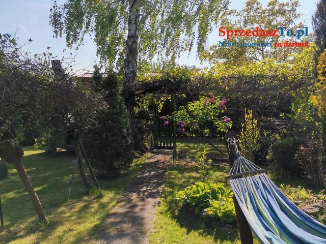 Działka ROD nad Zalewem Zyrardowskim - 9