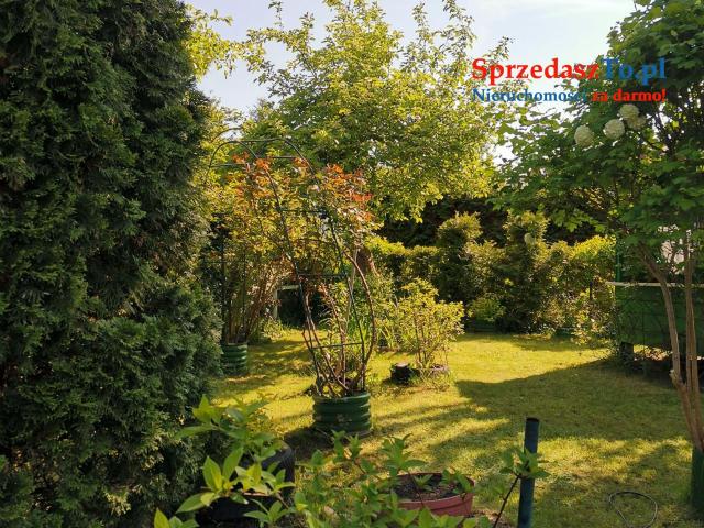 Działka ROD nad Zalewem Zyrardowskim - 10