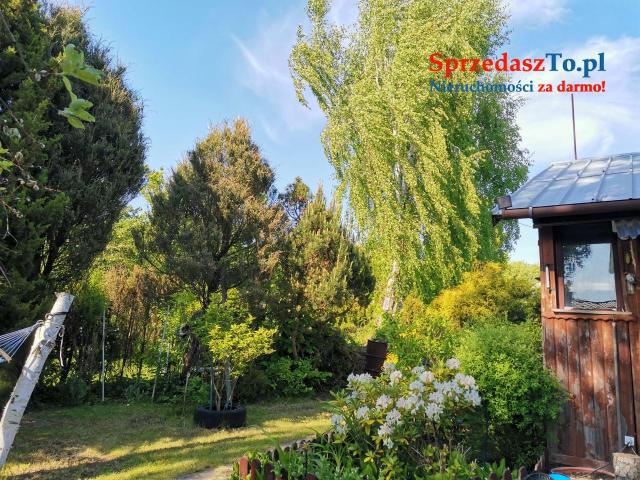 Działka ROD nad Zalewem Zyrardowskim - 11