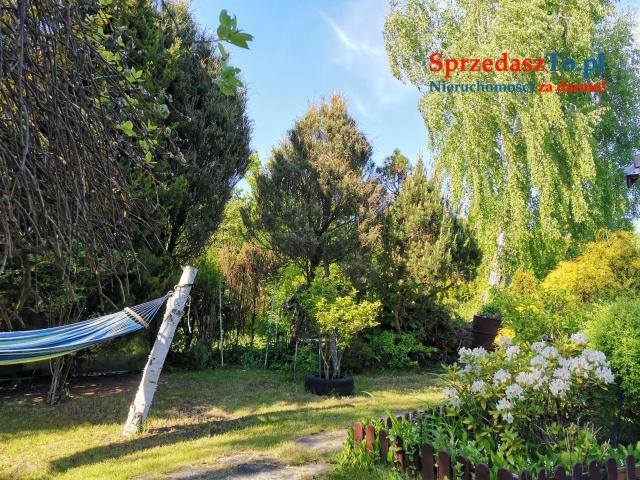 Działka ROD nad Zalewem Zyrardowskim - 12