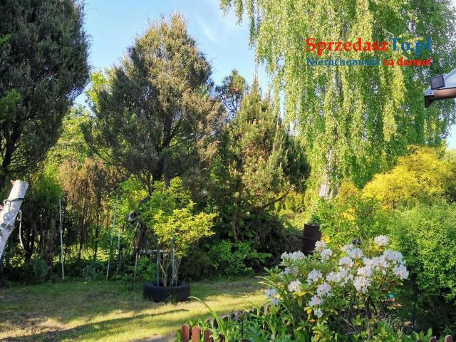 Działka ROD nad Zalewem Zyrardowskim - 13