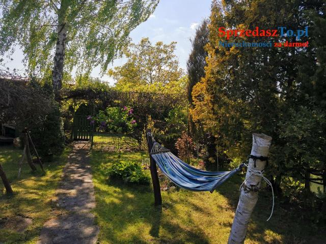 Działka ROD nad Zalewem Zyrardowskim - 14