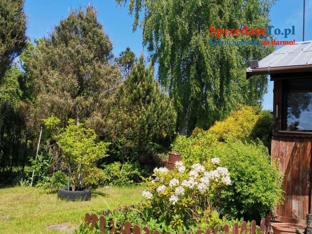 Działka ROD nad Zalewem Zyrardowskim - 17