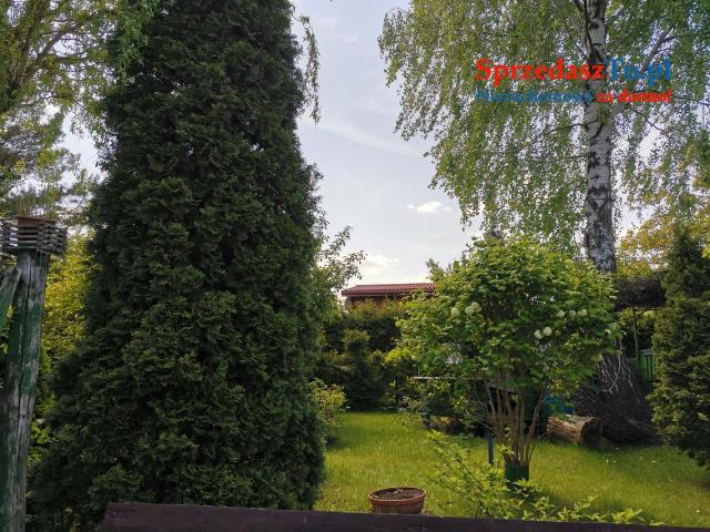 Działka ROD nad Zalewem Zyrardowskim - 18