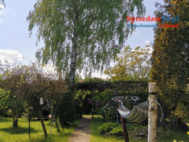 Działka ROD nad Zalewem Zyrardowskim - 20