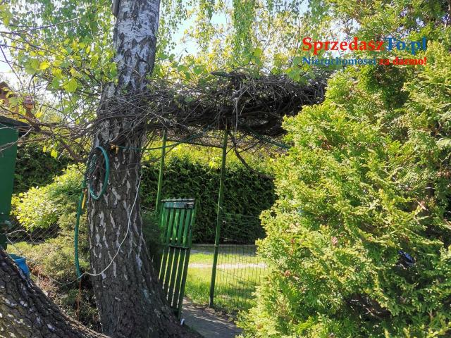 Działka ROD nad Zalewem Zyrardowskim - 21