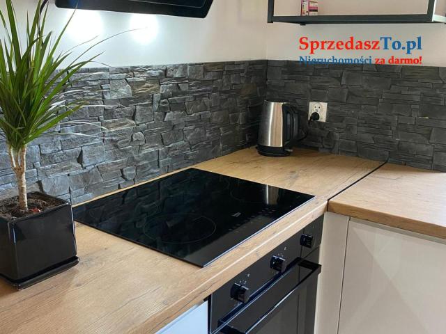 Piękny drewniany dom całoroczny    FILM - 14