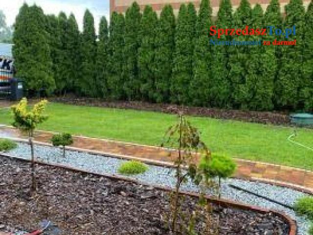 Piękny drewniany dom całoroczny    FILM - 19