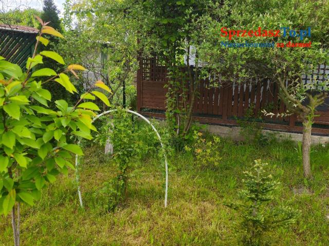 Atrakcyjna działka ROD na sprzedaż - Dąbrowa Górnicza, ROD "Staszic" - 6