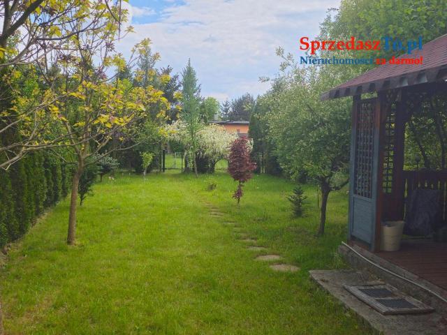 Atrakcyjna działka ROD na sprzedaż - Dąbrowa Górnicza, ROD "Staszic" - 8