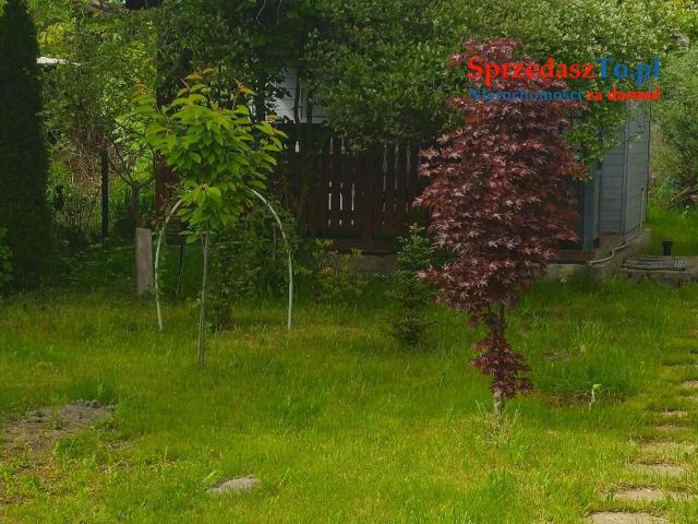 Atrakcyjna działka ROD na sprzedaż - Dąbrowa Górnicza, ROD "Staszic" - 11