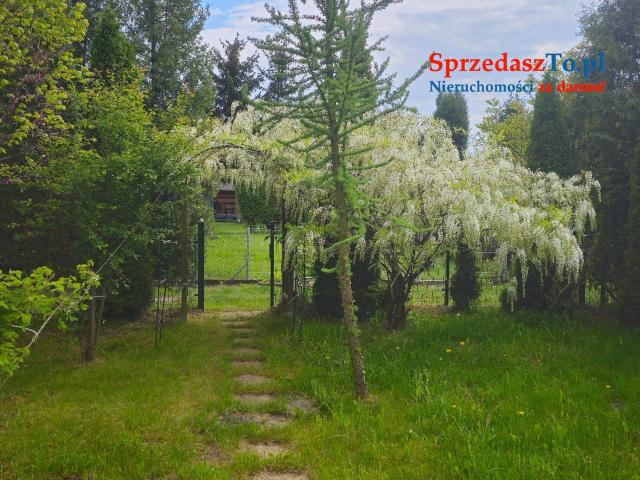 Atrakcyjna działka ROD na sprzedaż - Dąbrowa Górnicza, ROD "Staszic" - 12