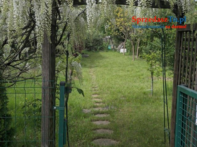 Atrakcyjna działka ROD na sprzedaż - Dąbrowa Górnicza, ROD "Staszic" - 14