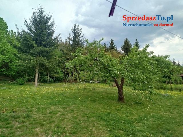 Sprzedam mieszkanie z dużym ogrodem - 7