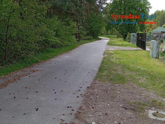 Sprzedam bezpośrednio siedlisko z budynkami gospodarczymi oraz piękna działka. - 11