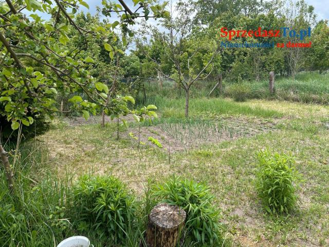 Sprzedam bliźniak - 19