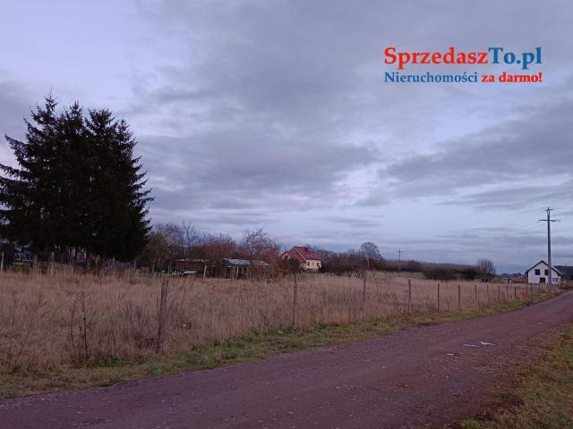 Sprzedam działki budowlane z warunkami zabudowy -Bierzwnik