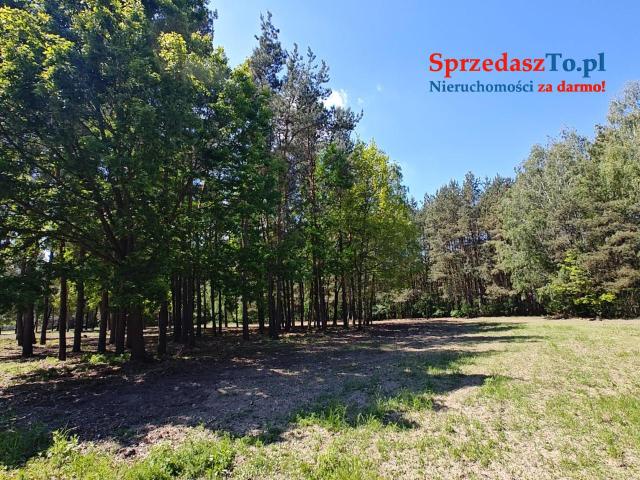 Sprzedam działki w Osowcu - 6