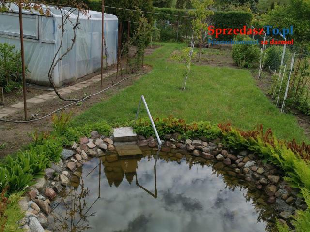 Działka rekreacyjna ROD - 6