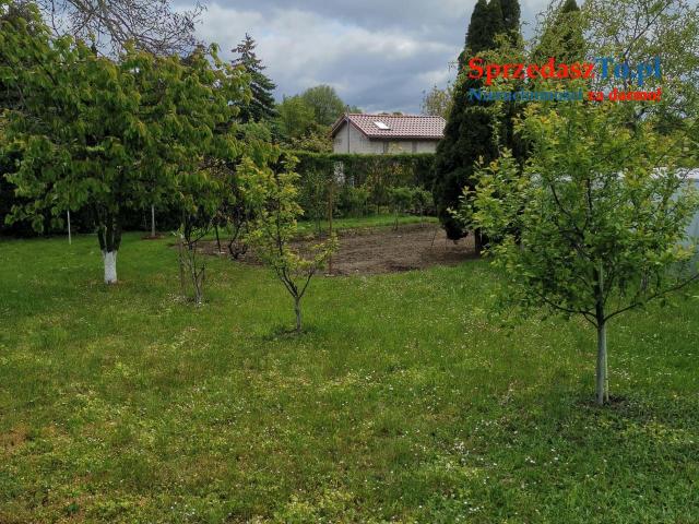 Działka rekreacyjna ROD - 7