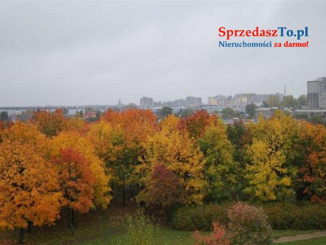 ‼️ OKAZJA - NA SPRZEDAŻ – Nowoczesne mieszkanie 3-pokojowe w Opolu ‼️ 60 m² | ul. Kazimierza Pużaka - 12