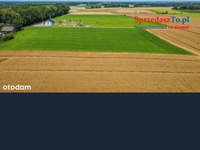 Działka nidek pod lasem