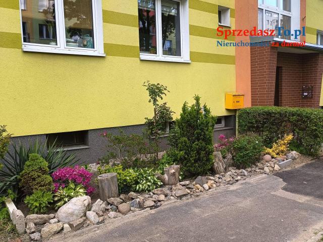 Sprzedam mieszkanie bez pośredników cena do negocjacji - 13