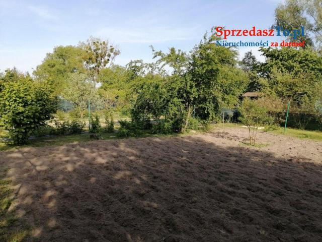 Duża działka ROD - 6
