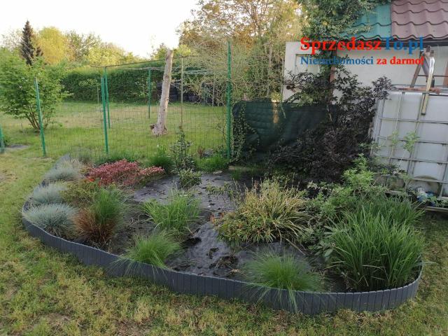 Duża działka ROD - 8