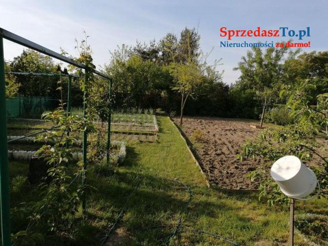 Duża działka ROD - 9