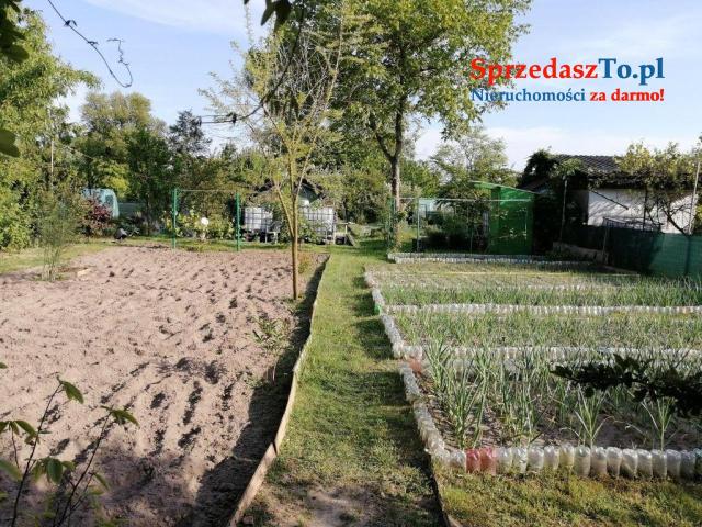 Duża działka ROD - 10