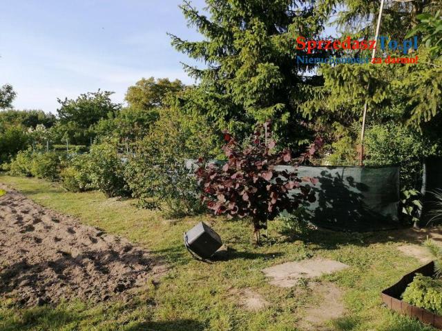 Duża działka ROD - 11