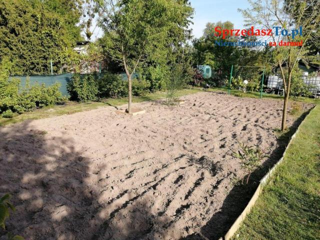 Duża działka ROD - 12
